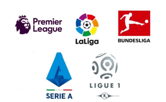 人瞩目的莫 人瞩目的莫